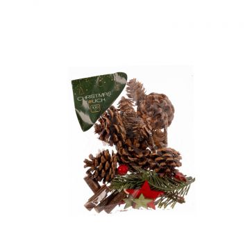 Rinkinys vainiko dekoravimui Christmas Touch NS23X038, 100g