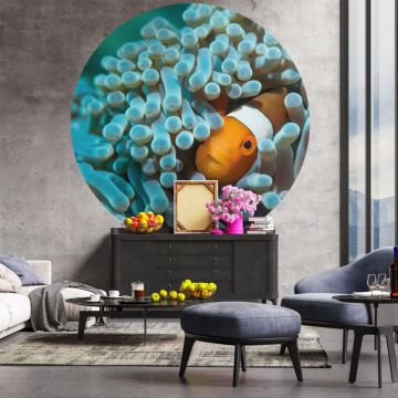 WallArt Tapetai Nemo the Anemonefish, 190cm, apskriti