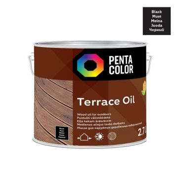 ALIEJUS TERASOMS SU TUNGU „TERRACE OIL“ (JUODAS; 2,7 L)