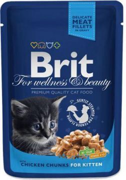 ĖDALAS KATĖMS BRIT CHICK CHUNKS KIT 100G